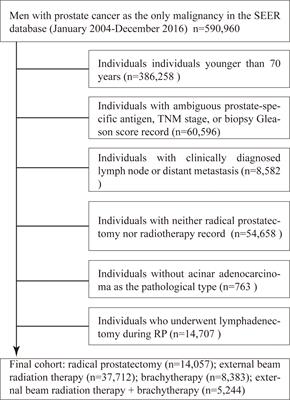 Comparison of Oncological Outcomes Between Radical Prostatectomy and Radiotherapy by Type of Radiotherapy in Elderly Prostate Cancer Patients